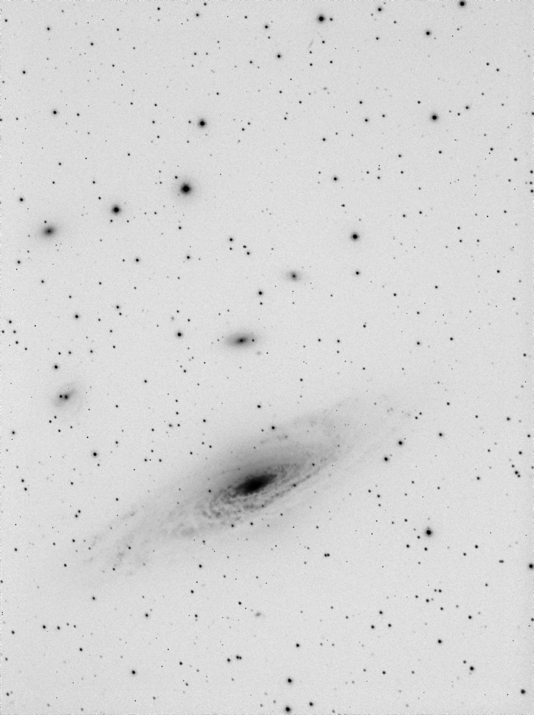 NGC 7331 inverted