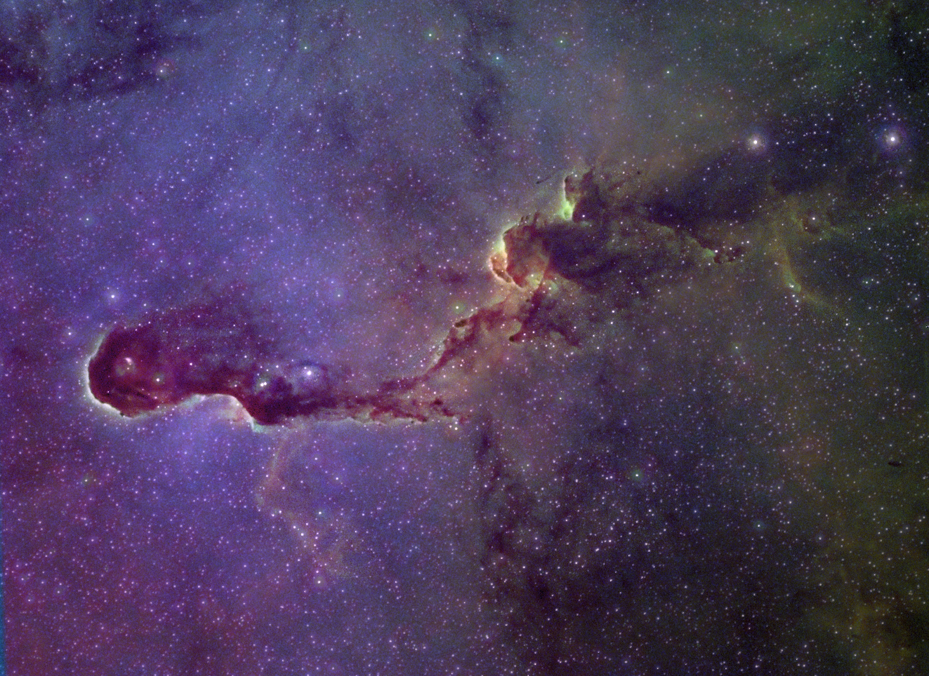 IC1396/vdB142 Elephant Trunk Nebula