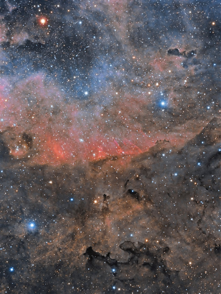 barnard344_24112013-final