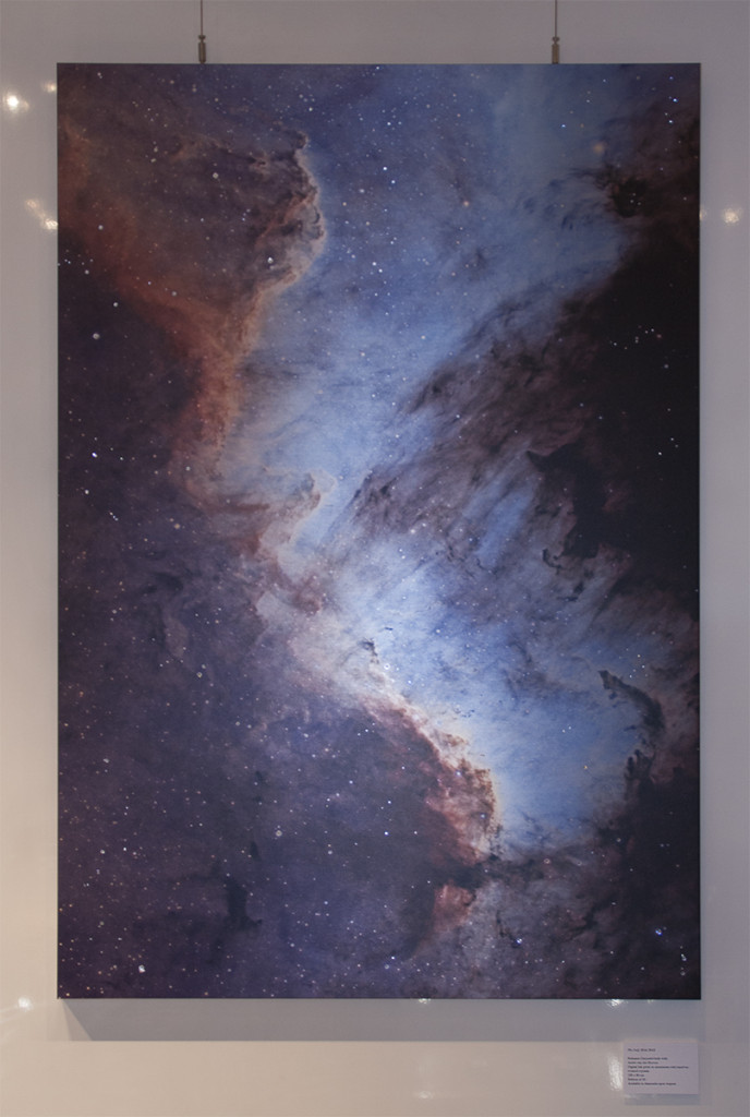 Detail of the Gulf showing the effect of the lighting on the aluminium print.