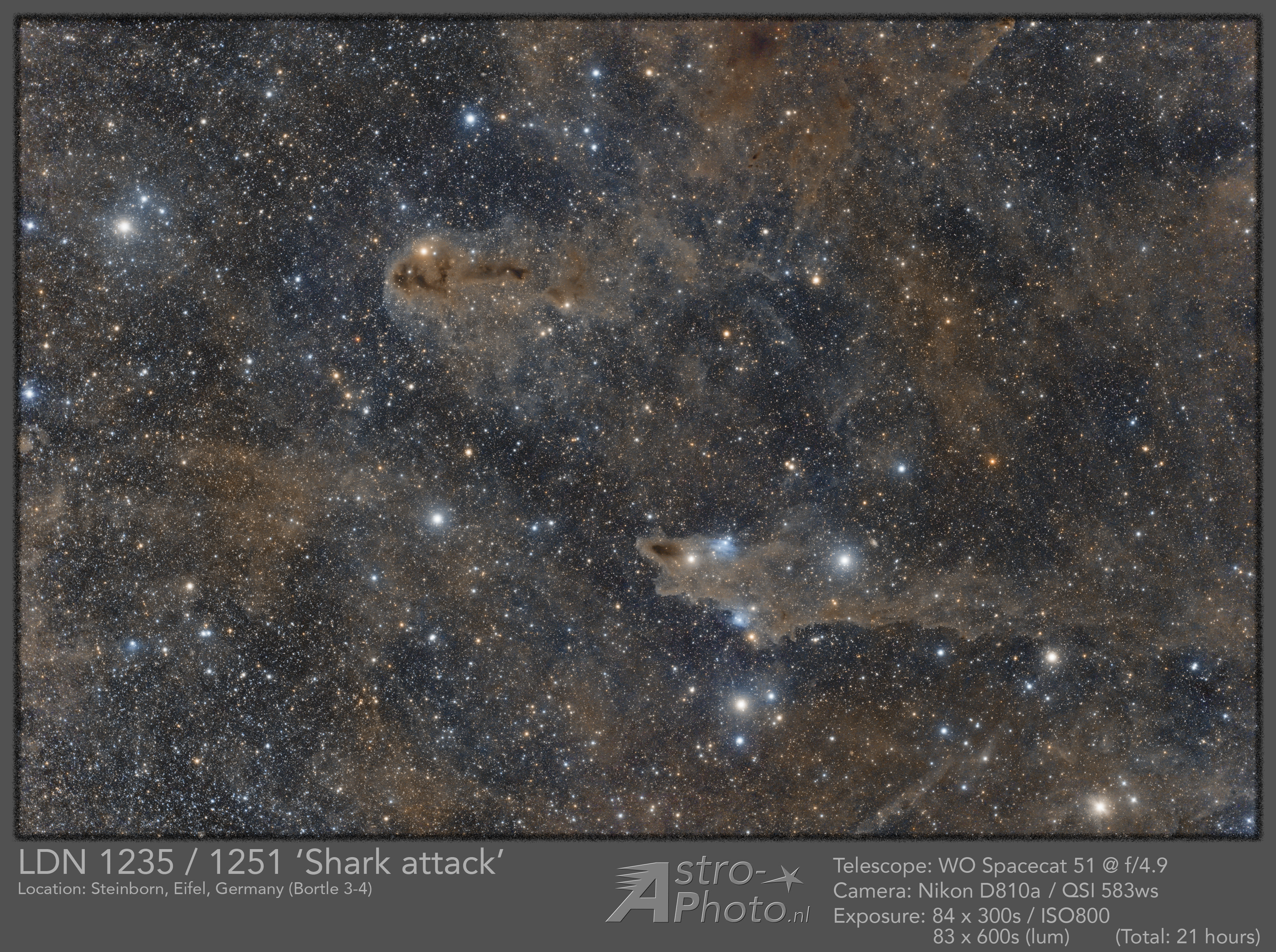 LDN1235 / 1251 Shark nebula and surroundings (zoomable)